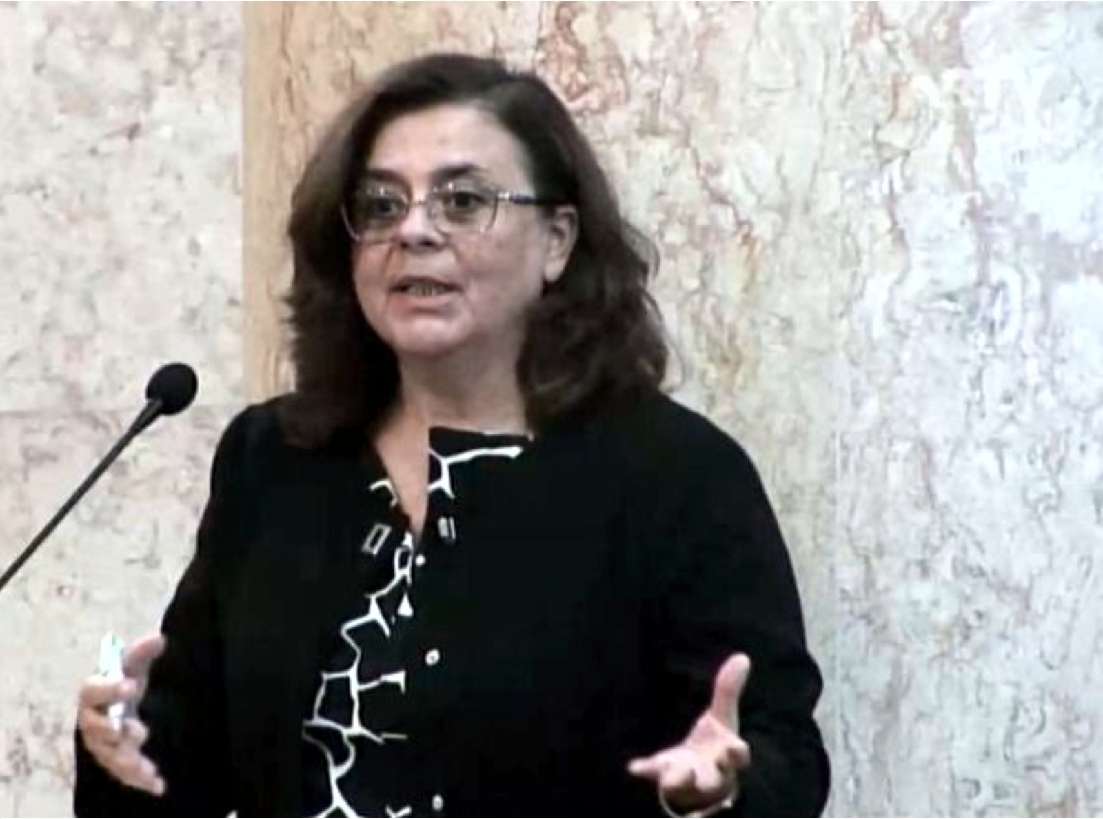 Secretária Geral do Sindite, Drª Dina